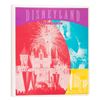 Image 1 : A 1997 Disneyland Destination Binder.