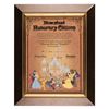 Image 1 : A Disneyland Honorary Citizen Certificate.