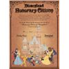 Image 2 : A Disneyland Honorary Citizen Certificate.