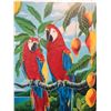 Image 2 : Talking Story Parrot Print 306/500 by Ari Vanderschoot, Framed & Matted 30" x 34"
