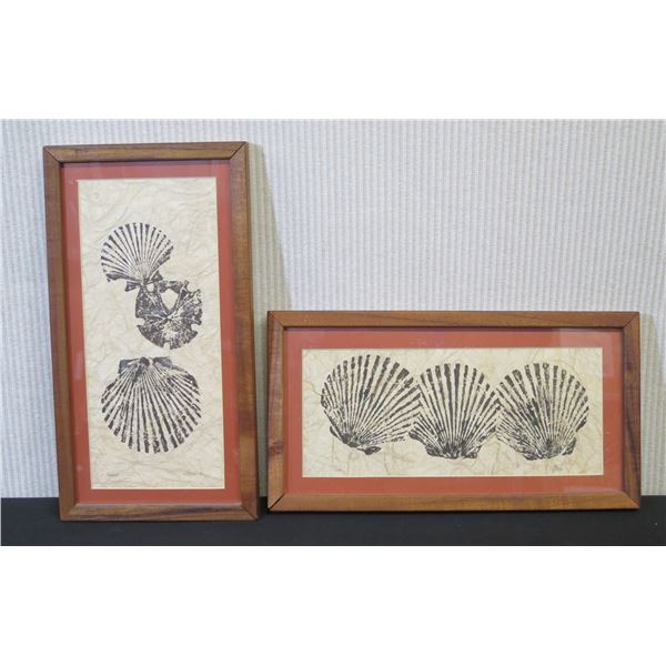 Qty 2 Shell Artwork by Ilona, Framed & Matted 16" x 10" (each)