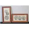 Image 1 : Qty 2 Shell Artwork by Ilona, Framed & Matted 16" x 10" (each)