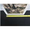 Image 10 : Equatorial Breeze B&W Palm Trees Photographic Print by Thea Schrack 2002, Unframed 10" x 21"