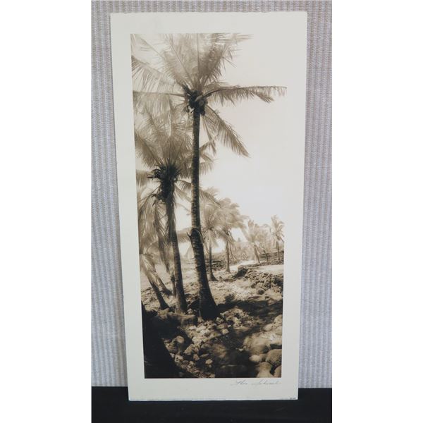 Equatorial Breeze B&W Palm Trees Photographic Print by Thea Schrack 2002, Unframed 10" x 21"