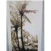 Image 2 : Equatorial Breeze B&W Palm Trees Photographic Print by Thea Schrack 2002, Unframed 10" x 21"