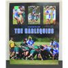 Image 1 : Hawaii Rugby The Harlequins Poster by Richard Wood, Unframed 16" x 20"