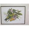 Image 2 : Framed Birds and Flora by M. Berger 1990, Limited Editions, Matted 29" x 39"