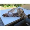 Image 8 : Multiple Hawaiian Koa Wood Molding Sections in Box Approx. 48"L
