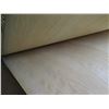 Image 8 : Qty 3 Ash Wood Veneer Sheets 4' x 10'