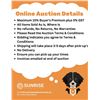 Image 1 : Online Auction