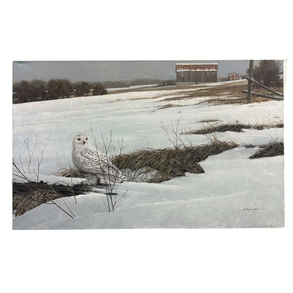 Doug Laird's "In the Field – Snowy Owl" Original
