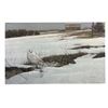 Image 1 : Doug Laird's "In the Field – Snowy Owl" Original