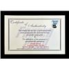 Image 2 : Toronto Maple Leafs 1964 Stanley Cup Signed Photo