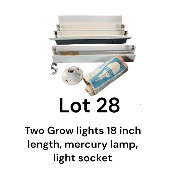 Lot 28