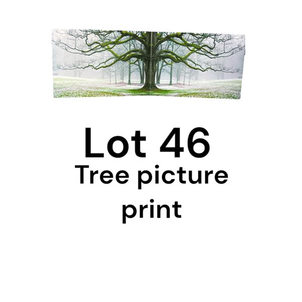 Lot 46