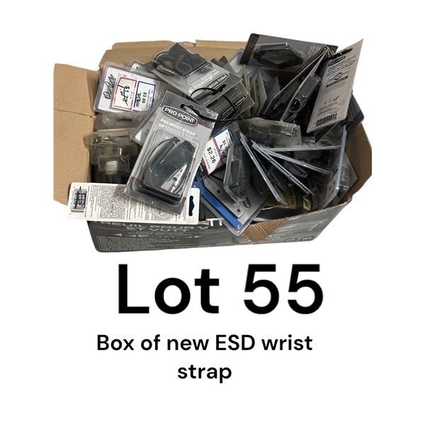 Lot 55