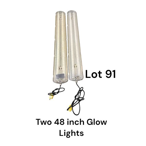 Lot 91