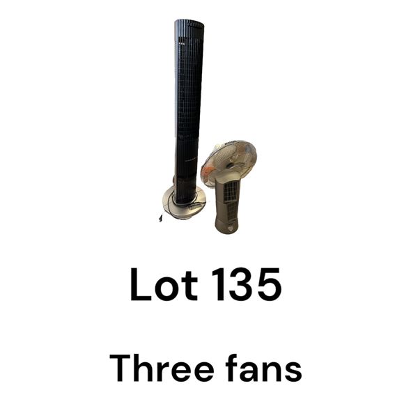 Lot 135