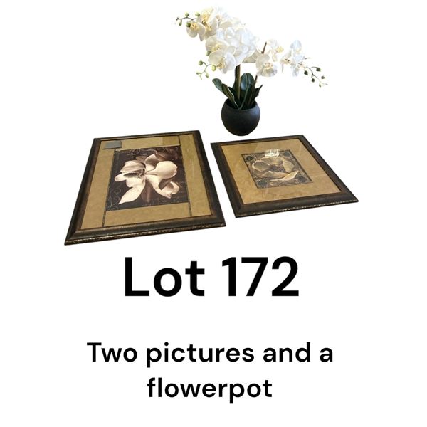 Lot 172