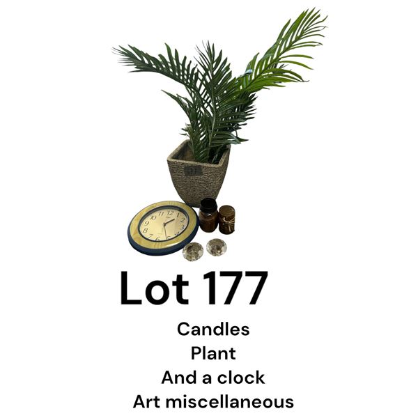 Lot 177