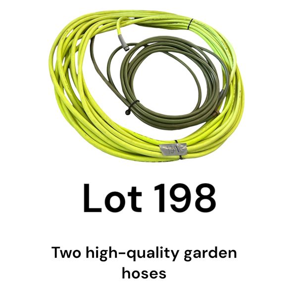 Lot 198