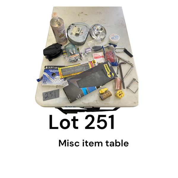 Lot 251