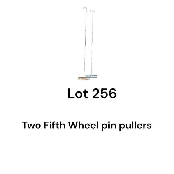 Lot 256
