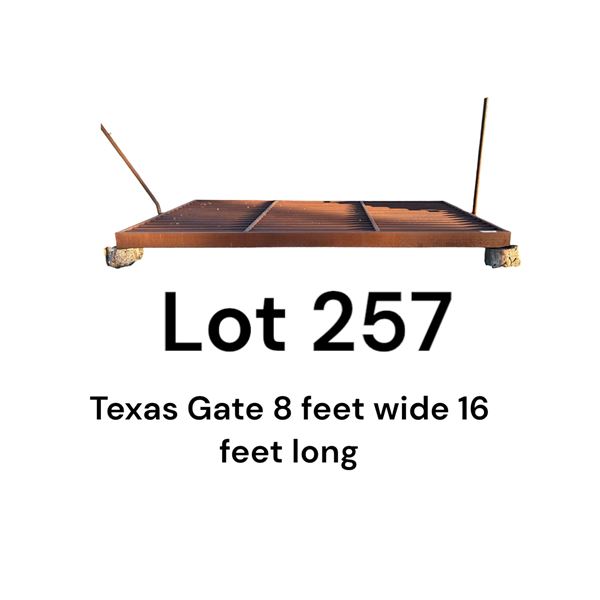 Lot 257