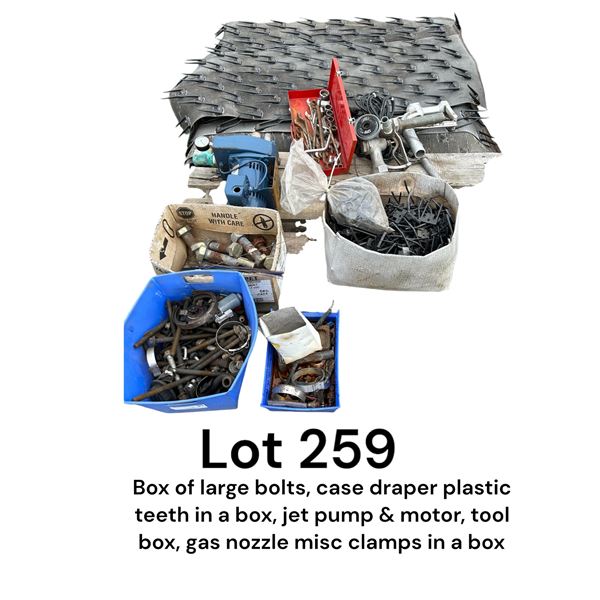 Lot 259