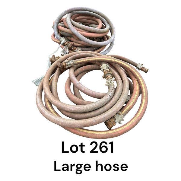 Lot 261