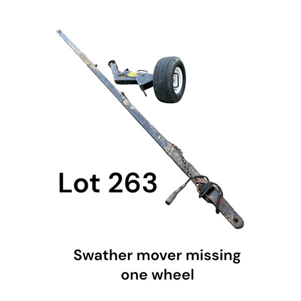 Lot 263