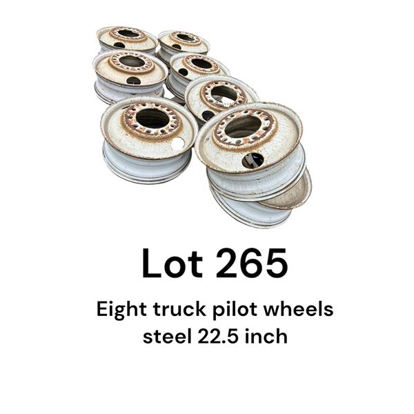 Lot 265