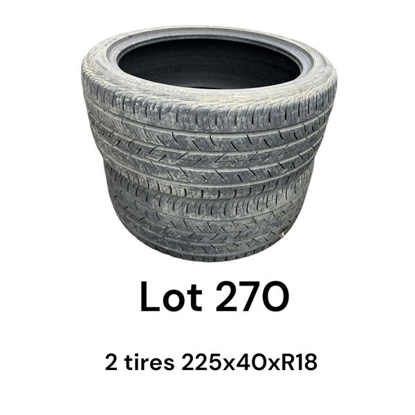 Lot 270