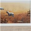 Image 2 : Framed "Sheep's on Amber Field by Zito Kate 750120 (8x10)