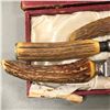 Image 2 : Group of misc Knives Including - Gerber Legendary Blades, Samuel Peace Sheffield Stainless BBQ Set