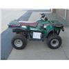 Image 1 : 1996 Polaris Xplorer 300