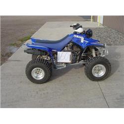 2001 Yamaha Warrior