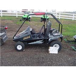 Polaris Go Cart
