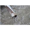 Image 4 : ModernMill 12' grain auger with electric motor, ModernMill 15' auger, silo pipe