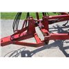 Image 17 : CIH 4800 24' cultivator, 5 bar spike harrow, walking tandems