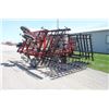 Image 7 : CIH 4800 24' cultivator, 5 bar spike harrow, walking tandems