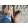 Image 8 : JD 400 15' rotary hoe, 3pth