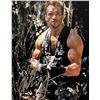 Image 1 : Predator Arnold Schwarzenegger signed photo