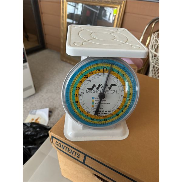 Micro weigh scale