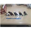 Image 3 : 1950, 1960 Tender Leaf Tea Box with 11 Tea Birds
