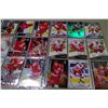 Image 4 : 54- DETROIT RED WINGS HOCKY CARDS
