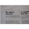 Image 3 : Grey Owl national parks poster and book