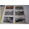 Image 1 : 1910-1911 Oversized crops - fish, etc.  Postcards