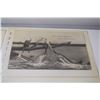 Image 2 : 1910-1911 Oversized crops - fish, etc.  Postcards