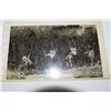 Image 2 : 1910-1911 Oversized crops - fish, etc.  Postcards